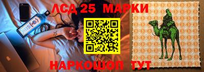 дмт Новодвинск