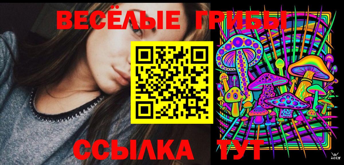 Феодосия  Псилоцибиновые грибы Psilocybe  Вход с VPN 
